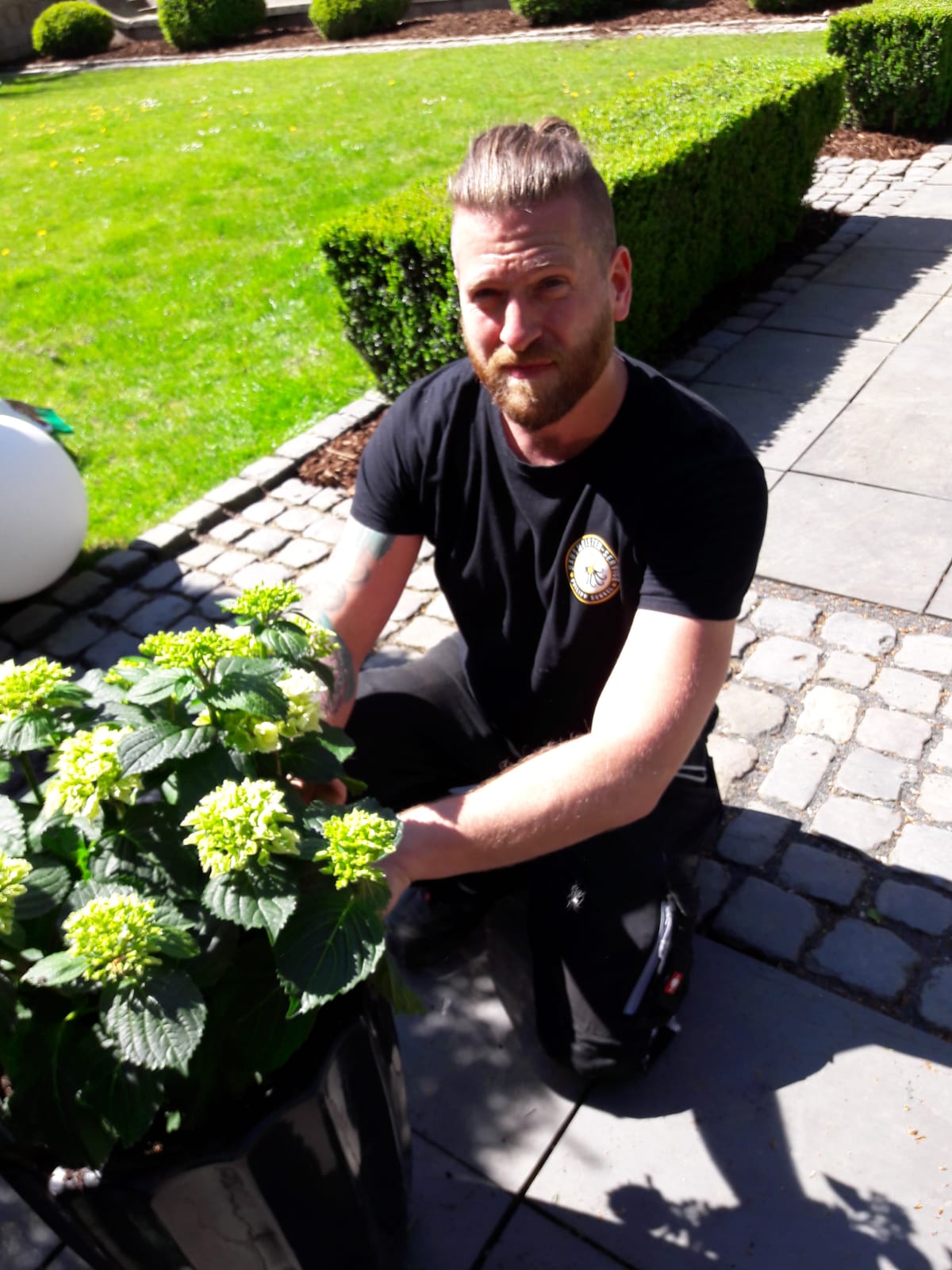 Gartenarbeiten Hausmeisterservice Dunkel